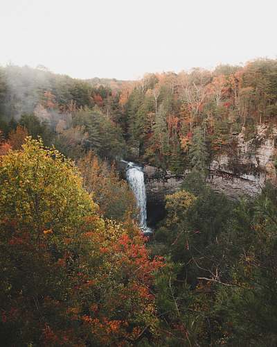 united states waterfalls between green and orange leafed trees plant